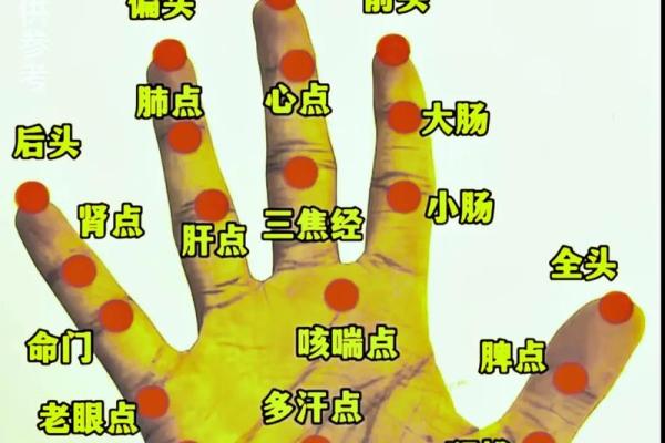 手相算命:健康 手相算命:健康