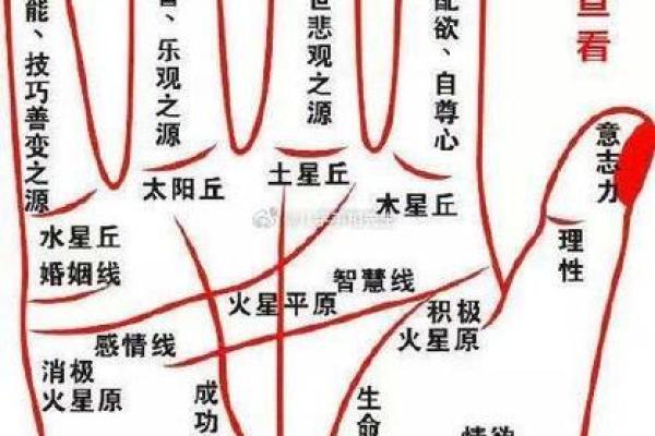 女性手纹算命图解 女性手纹算命图解