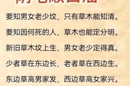 陵墓风水禁忌有哪些风水知识呢