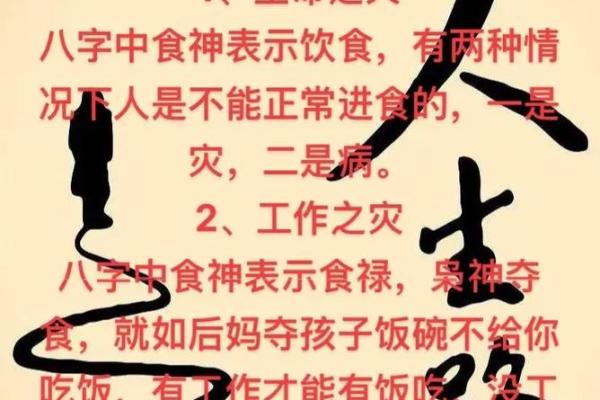 八字大运食神