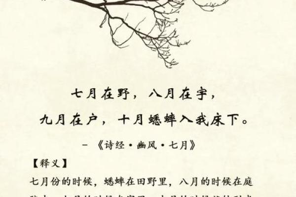东有小山紫薇斗数7