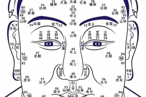 看头发面相知道运势 面相头发算命 看头发面相知道运势 面相头发算命