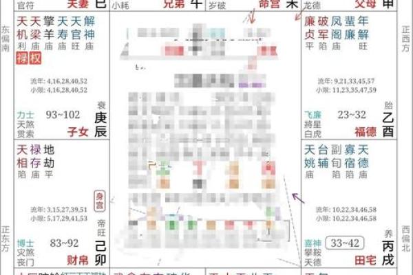 紫薇斗数夫妻宫带天府