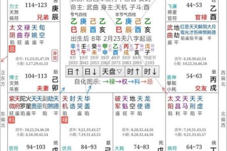 紫薇斗数明日运势