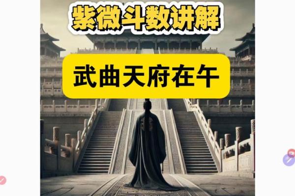 紫薇斗数之天府