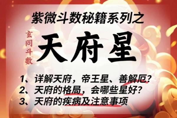 紫薇斗数之天府