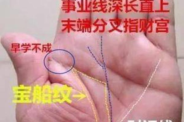 财运线算命