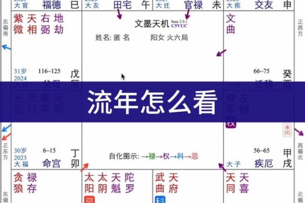 紫薇斗数流年看考试