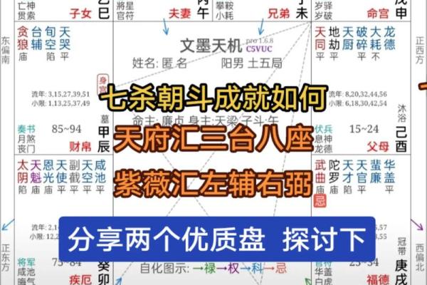 紫薇斗数紫府朝斗