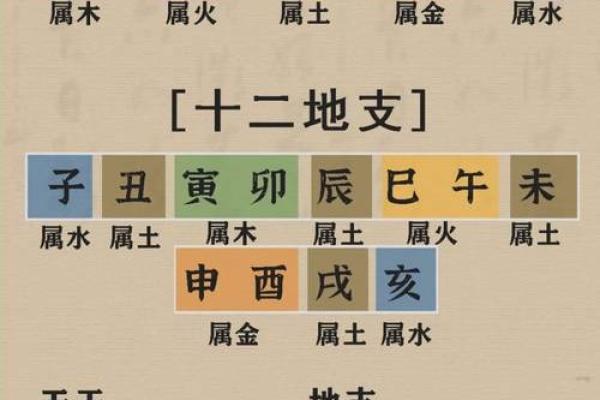 易奇八字婚姻树