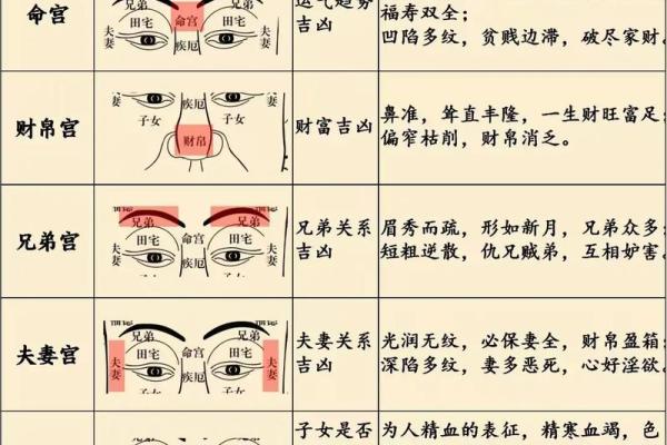 相面八字眉的面相解析与注重方法详解 相面八字眉的面相解析与注重方法详解