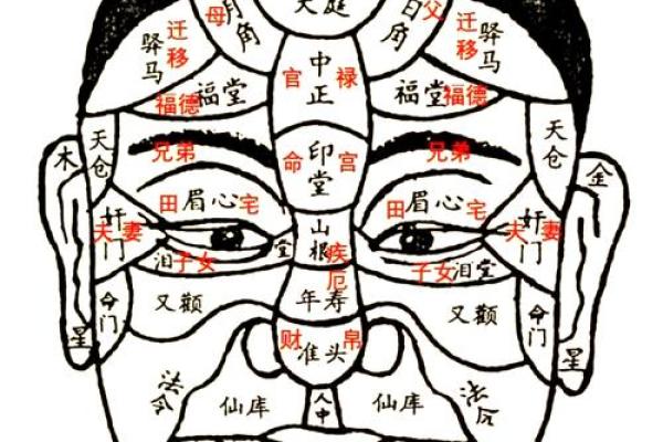 八字里命宫位置在哪 八字命盘命宫在哪