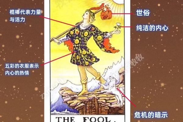 塔罗牌测试是算命吗