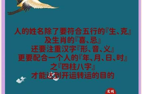 宝宝八字起名大全，猪宝宝最合适的名字推荐