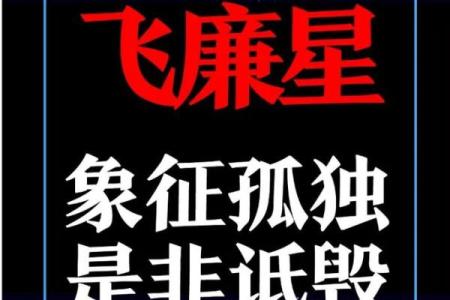 飞廉紫薇斗数流年