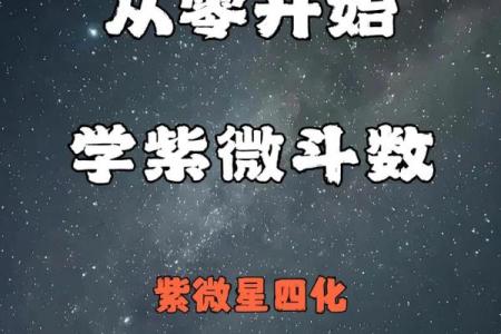 紫微斗数之各星曜所主行业：智商与考试