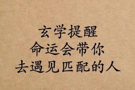 八字命理：你缺的不是基础，而是一篇文章