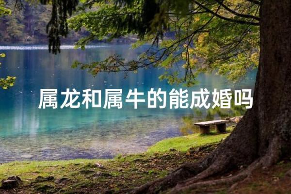 属龙和属牛的八字合吗