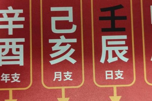 酉戌害八字