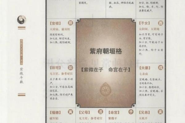 中州大学紫薇斗数专业