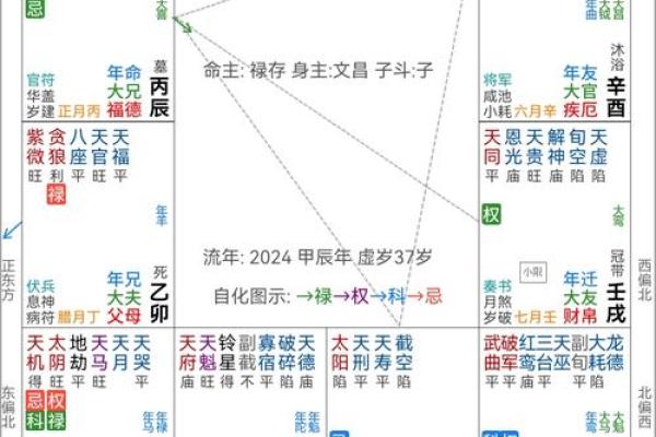紫薇斗数创业流年