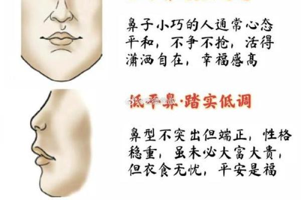 看鼻子面相算命大全