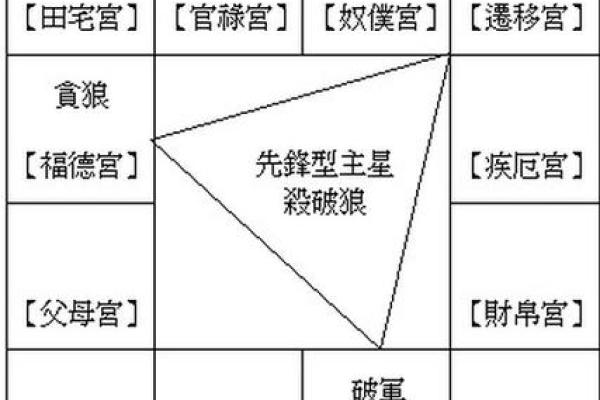 紫薇斗数三合杀破狼