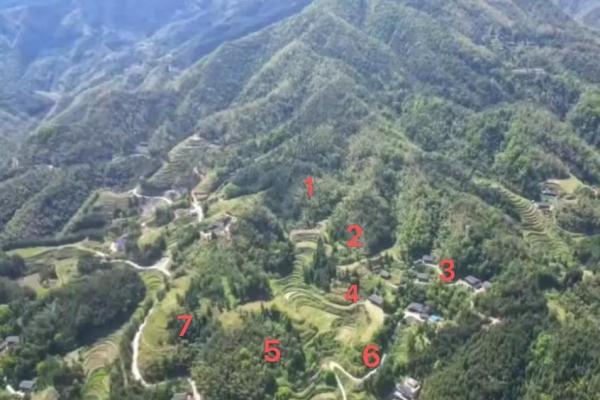 风水指导：住豪宅事业未必就好