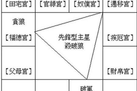 紫薇斗数三合杀破狼