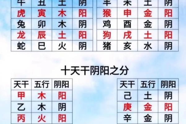 八字十二地支的五行属性