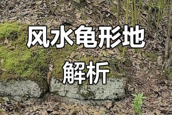 下葬有何异象发生算风水宝地