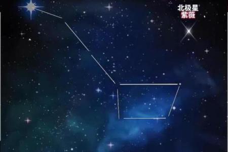 北斗星和紫薇星的区别是什么意思啊