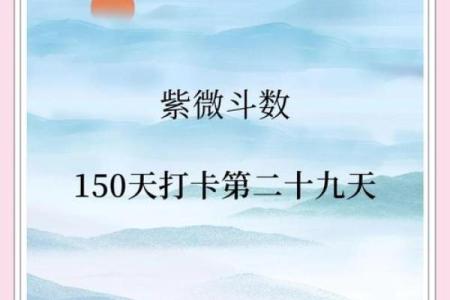 善良的紫薇斗数