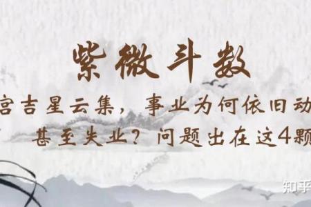 紫薇斗数一位伟人