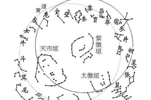 紫薇斗数中的年解 紫薇斗数中的年解