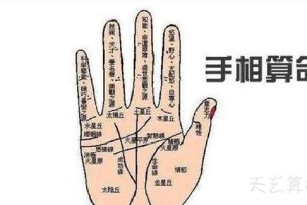 手相图解大全女右手算命 看手相算命图解女性右手 手相图解大全女右手算命 看手相算命图解女性右手