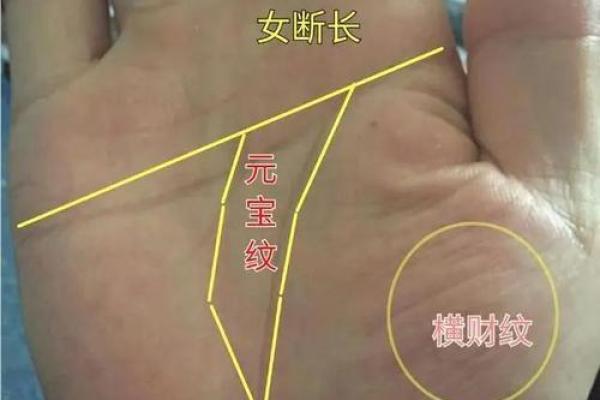 手相图解大全女右手算命 看手相算命图解女性右手 手相图解大全女右手算命 看手相算命图解女性右手