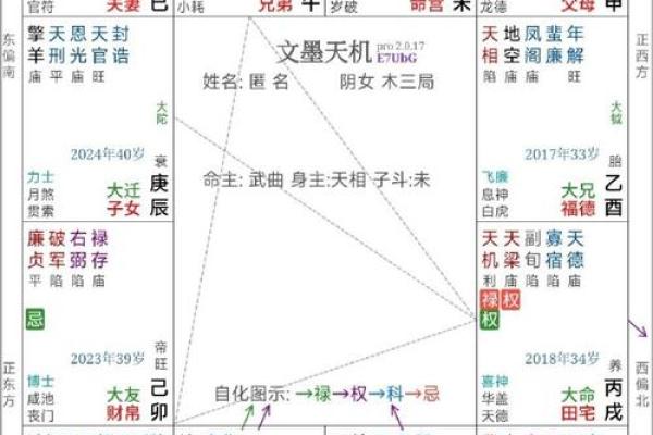 紫薇斗数嫁入豪门 紫薇斗数嫁入豪门