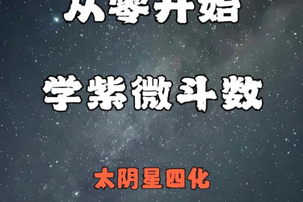 紫薇斗数太阴星