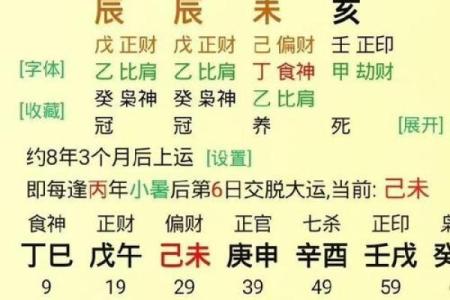 子午卯酉八字