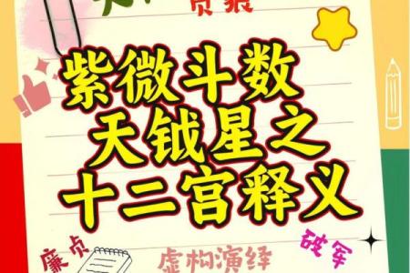 紫薇斗数软件破解