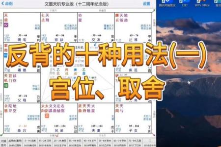 电脑紫薇斗数软件