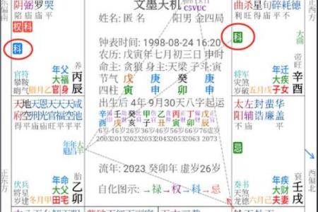 紫薇斗数中的年解