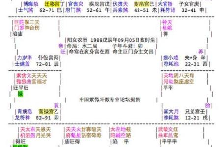 紫薇斗数看行运