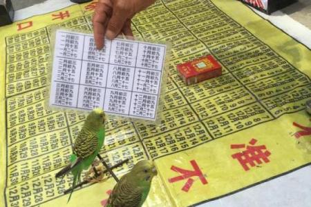 通州区哪里有算命的