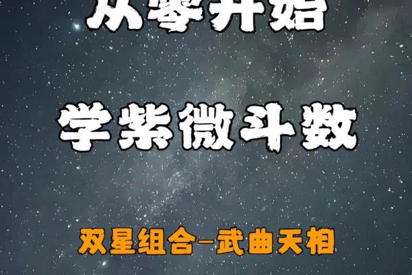 紫微斗数-天相星 紫微斗数-天相星