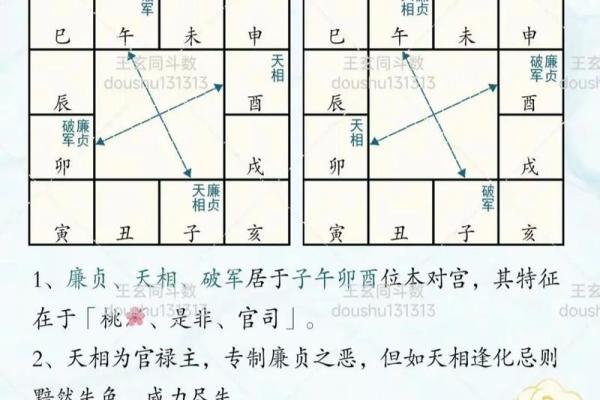 紫微斗数-天相星 紫微斗数-天相星