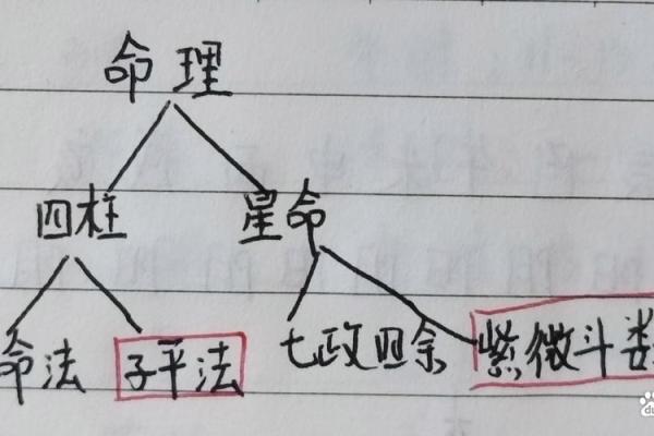 不老的八字 不老的八字