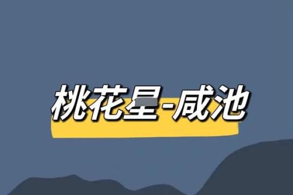 紫薇斗数桃花星6