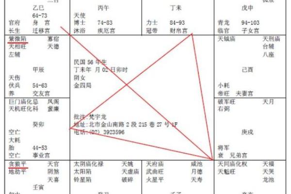 美貌男紫薇斗数